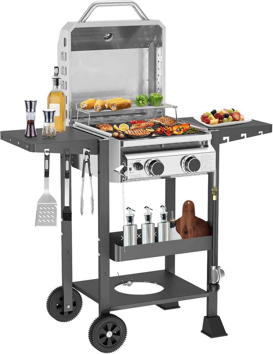 2 - Burner Stainless Steel Propane Grill, 16,000 BTU Portable Gas BBQ with Electronic Ignition - Kismile