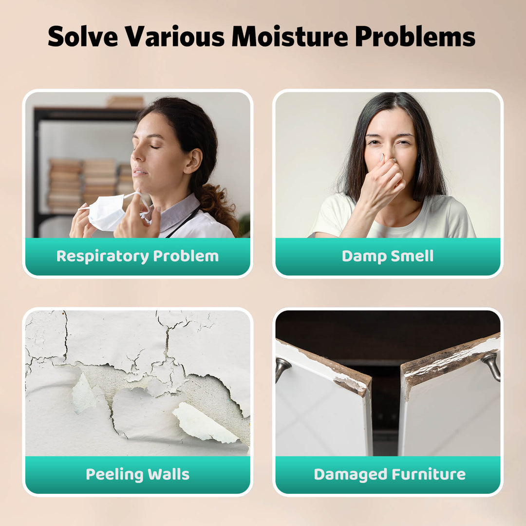 24 Pints Dehumidifier D4212B - Kismile