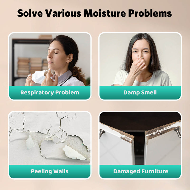 24 Pints Dehumidifier D4212B - Kismile