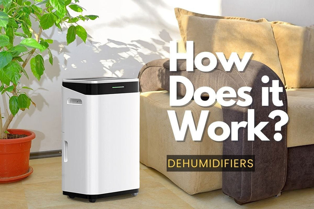How Does a Dehumidifier Work: An Easy Guide - Kismile