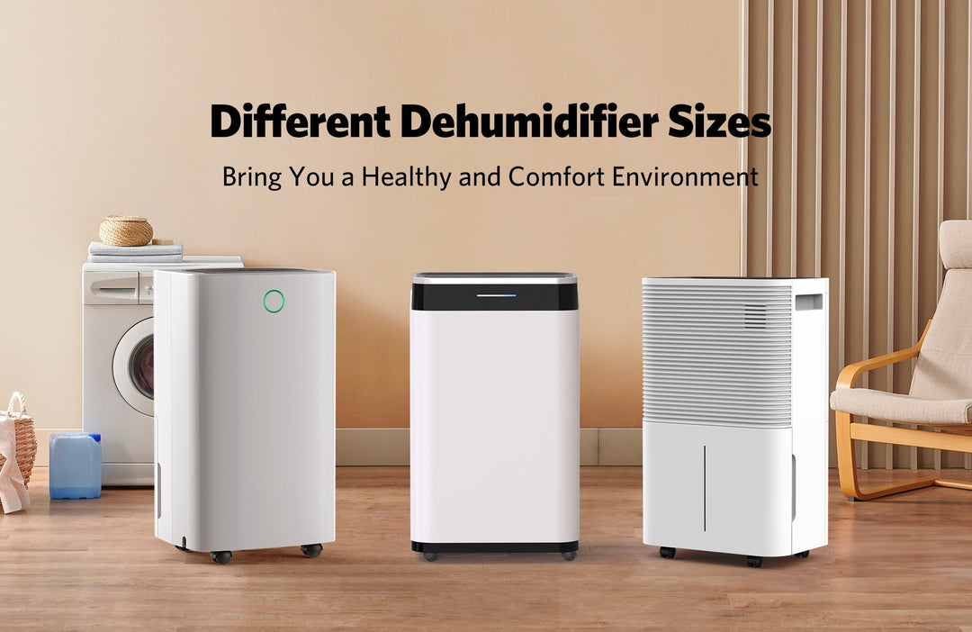 What Dehumidifier Size Do I Need? - Kismile
