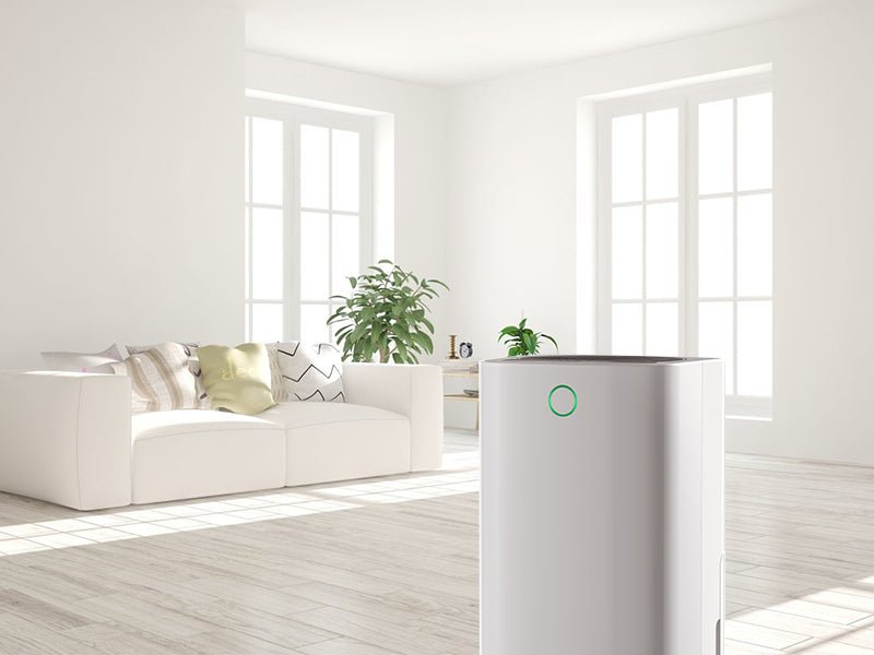 Why Is My Dehumidifier Not Working Main Causes. Kismile