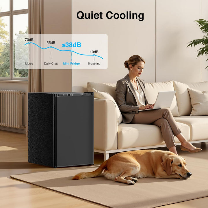 Woman using a laptop on a couch with a dog, and a black air cooler labeled 'Quiet Cooling' in the room.